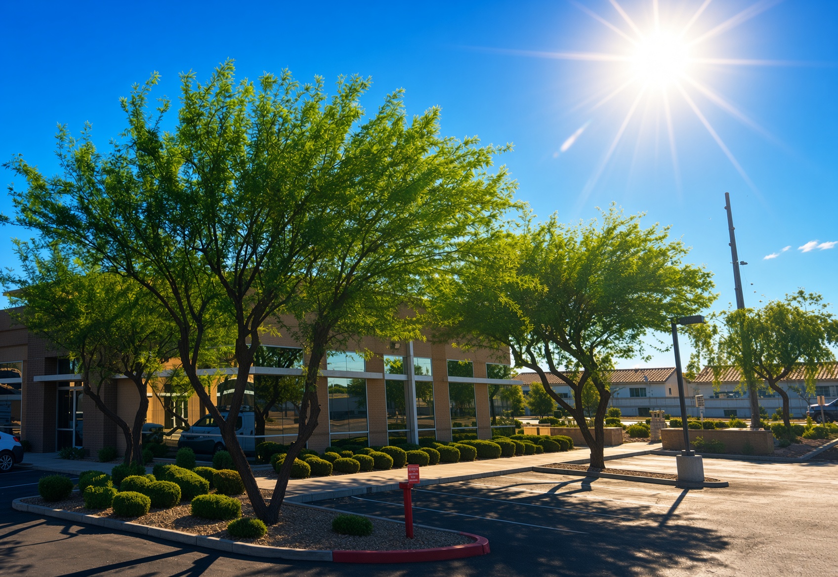 Phoenix DOL doctor provider directory preview